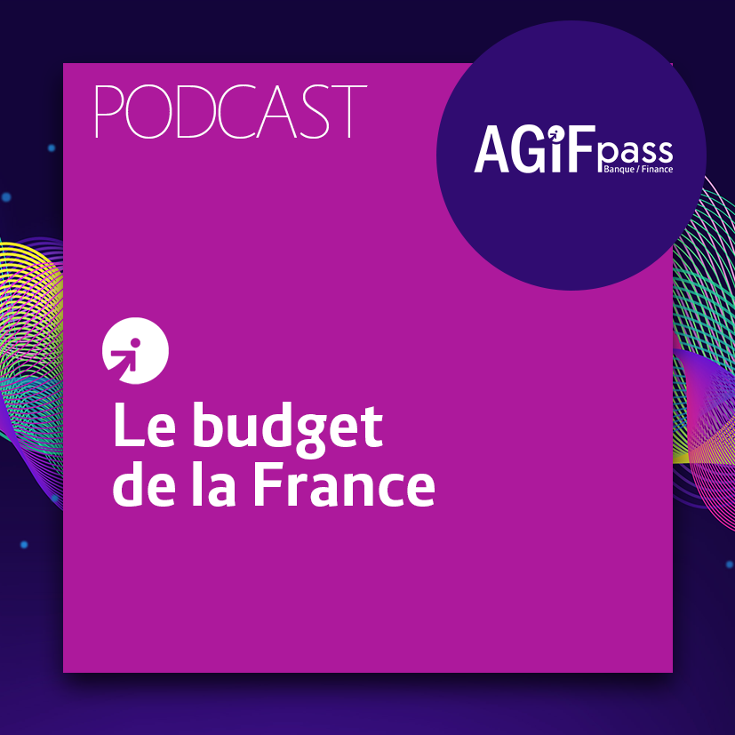 Le-budget-de-la-France